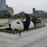 我心飞翔 profil fotoğrafı
