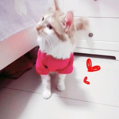 是溪梦呀i （吉林延吉）'s profile picture