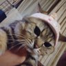 Profilbild von ちこるん