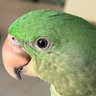 Rock1988's profile picture