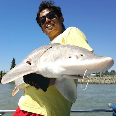 shagi1983's profile picture