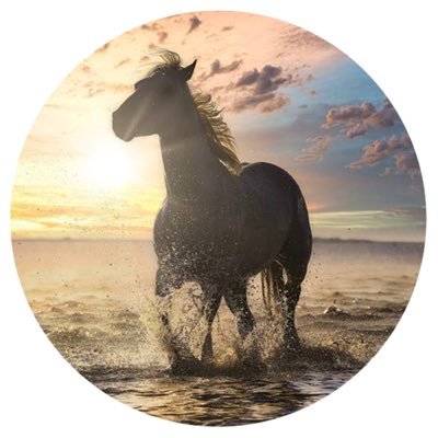 5LFPih3Com1L7P5's profile picture