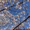 te@地方のフリーランスエンジニア profil fotoğrafı