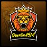 QuentinASM's profile picture