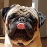 juninho ruindade pura profil fotoğrafı