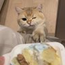 Profilbild von 申请涩涩