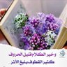 Profilbild von Asma Yousif