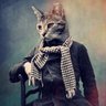 henrigastonchamiteux profil fotoğrafı