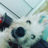 maria profil fotoğrafı