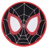 スパイダー野郎 的头像