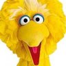 BowTiedBigBird 的头像