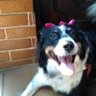 Profilbild von yucasaito@gmail.com