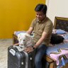 Ankur Verma's profile picture