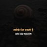 Roti - Boti's profile picture