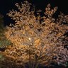 Фото профиля 村人A