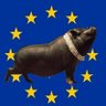 Vasja Vasja's profile picture