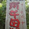 アセンダ .T 的头像