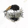 Moonshine Team 🎀🌊 的头像