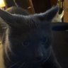 Profilbild von snailsacc