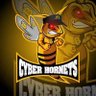 Profilbild von Cyber Hornets 🇨🇭⚡🐝