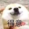 jojo哒's profile picture
