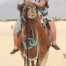 Rumtreiber73's profile picture