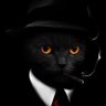Фото профиля BLACK CAT 🐈⬛ 🐈⬛