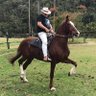 MARCELOMCJR 的头像