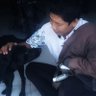 Alon Mas's profile picture