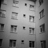 Melâl's profile picture