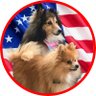 Manderz65's profile picture