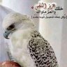 Фото профиля الأصيل
