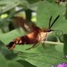 ButterFlyEffected14 的头像