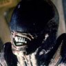 CEO of Weyland Yutani profil fotoğrafı