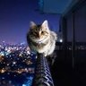 Фото профиля Azaz