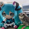 空と、ここあぬこ profil fotoğrafı
