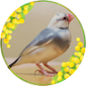 YuK1 profil fotoğrafı