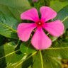Фото профиля Sunny Singh