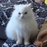 Фото профиля Здравый Смысл