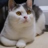 Profilbild von だいふく