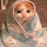 Jabf.'s profile picture