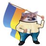 Profilbild von Taffrap