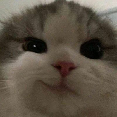 Mamepokoa's profile picture