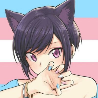 Ts_BonecasBr's profile picture
