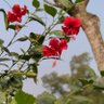 Фото профиля অপরূপ বাংলা 🇧🇩