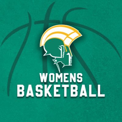 NorfolkStateWBB's profile picture