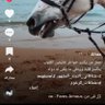 ام ريان's profile picture