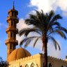 اباالحسن المصرى............ profil fotoğrafı