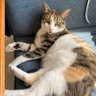 bilgen basal profil fotoğrafı