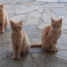 Profilbild von Κατερίνα Μπούνου